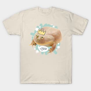 It is Wednesday my Dudes V1 T-Shirt